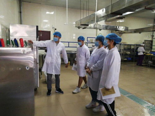 學(xué)生食品安全委員會成立 家政服務(wù)助力校園健康管理